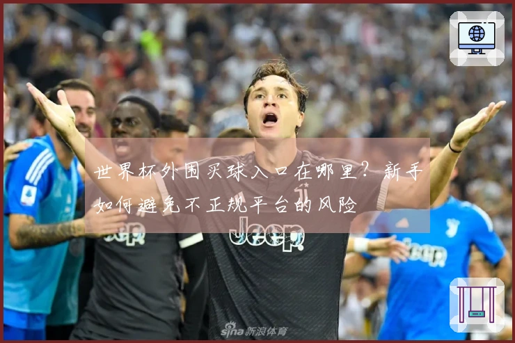 世界杯外围买球入口在哪里？新手如何避免不正规平台的风险