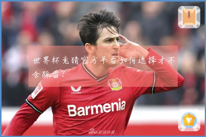 世界杯竞猜官方平台如何选择才不会踩雷？